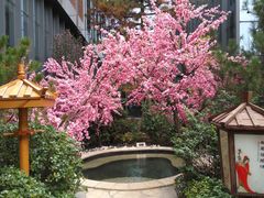 -悦隆庄温泉度假酒店