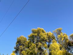 -广东花都香草世界旅游度假区