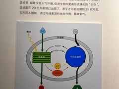 -重庆自然博物馆(新馆)
