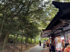 -普陀山风景区-佛顶山