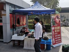 -八仙台服务区-停车场