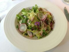 -蝶舍·MAISON PAPILLON