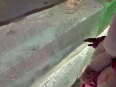 -长春世界雕塑园冰雪艺术天地