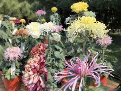 -国家植物园