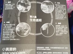 导游图-怀托摩萤火虫洞