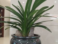 -中国农业银行(杭州滨江支行)