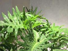 -WEGYMER健萌健身(雅颂居馆)