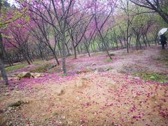 -福清灵石山国家森林公园
