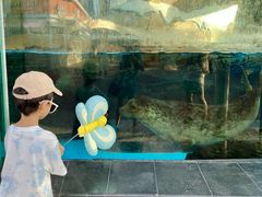 -海合安成都极地海洋公园
