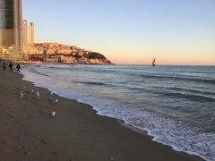 -海云台海滩
