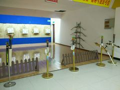 -道顺射箭·团建·骑射(张杨路店)