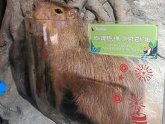 -正佳雨林生态植物园