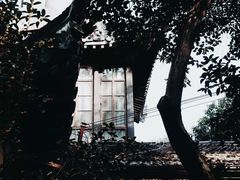 -萬國春·中菜馆(颐和公馆店)