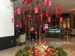 -上海嘉定喜来登酒店