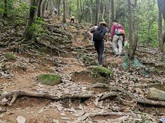 -火炉山森林公园