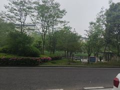 -杭州师范大学仓前新校区-体育场