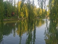 -济南大明湖景区