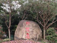 -野狸岛