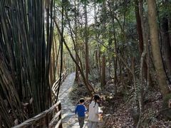 -花岩国家森林公园