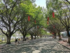 -南沙天后宫景区