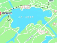 -顾村公园