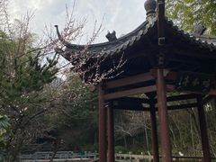 -杭州半山国家森林公园