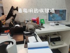 -喵园·猫主题咖啡厅·撸猫·猫咖(国贸店)