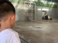 -西安秦岭野生动物园