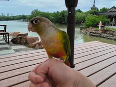 -东湖景区