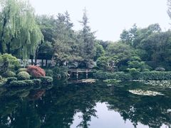 -秋霞圃