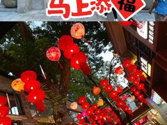 -越秀西湖花市(广州城市广场花卉店)