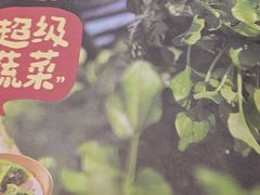 -点都德(龙之梦店)