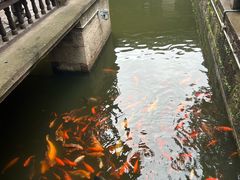 -绍兴古城