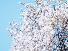 -山东师范大学(千佛山校区)