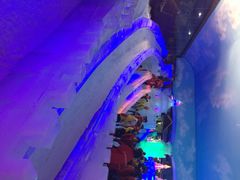iphone_upload_pic-世界之窗阿尔卑斯冰雪世界