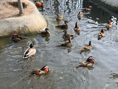 -水上乐园·欢乐世界