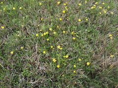 -嬉子湖生态旅游区