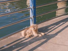 -池州市平天湖风景区