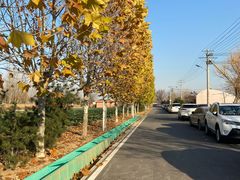 -辛庄国际文化艺术区