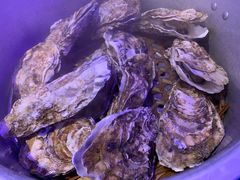 -千岛蚝高压锅生蚝·人参火锅(白云万达店)