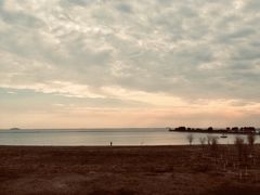 -合肥滨湖国家森林公园