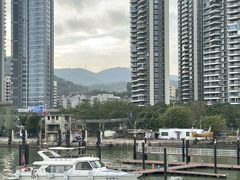 -澳门环岛游湾仔码头