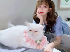 -怪兽屋·羊驼·猫咖·狗咖(俊华广场店)