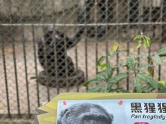 -深圳野生动物园