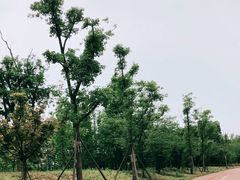 -白鹭湾湿地公园