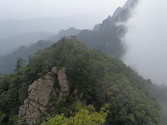 -王顺山国家森林公园
