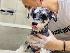 -Double Rui宠物酒店