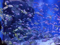 -成都浩海立方海洋公园