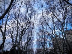 -La Creperie法餐厅(桃江路店)