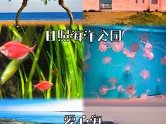 -巧克力渔家.小船海鲜家常菜(万平口店)